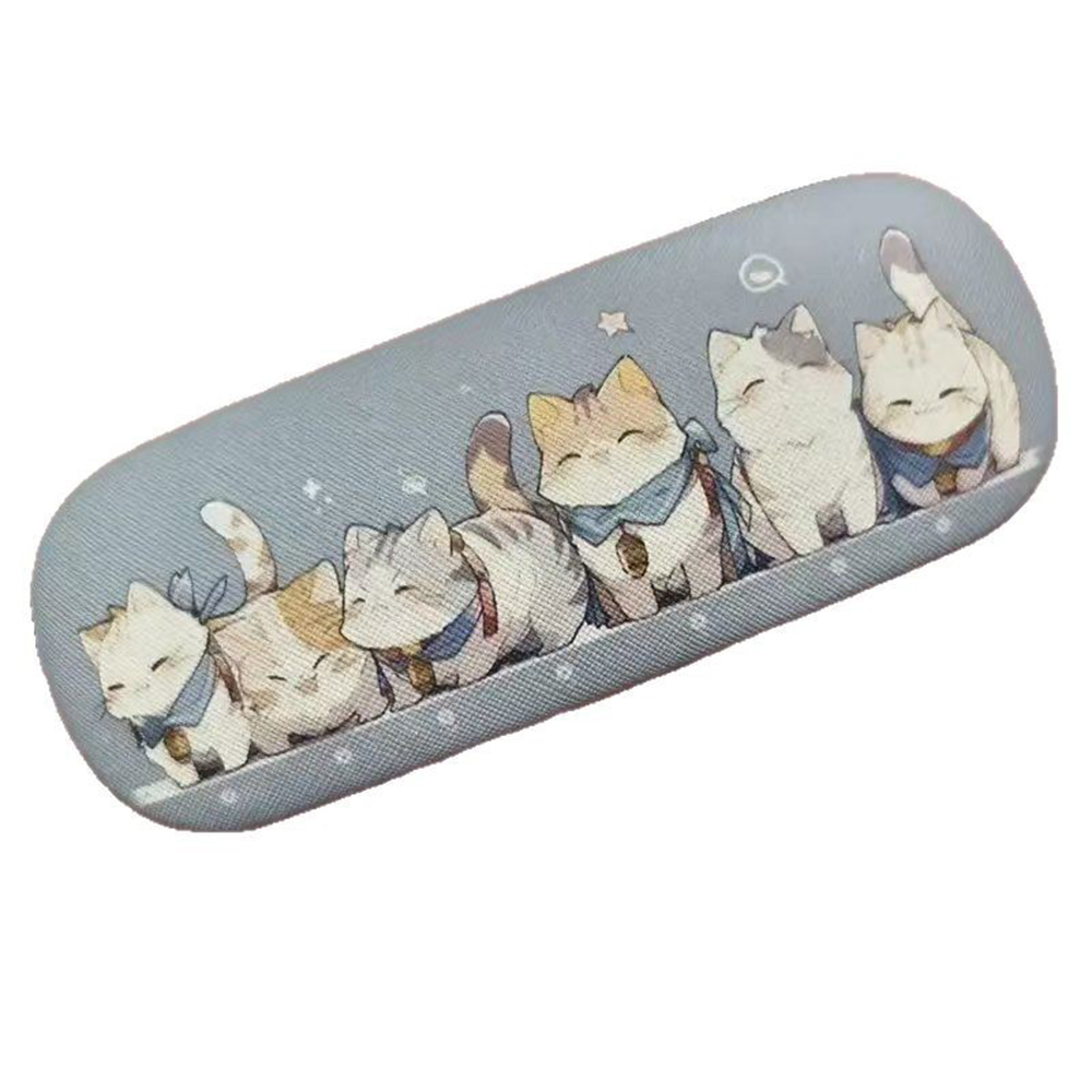 Eyeglasses Storage Round-Heade - Travel Accessories Ideas recension och pris