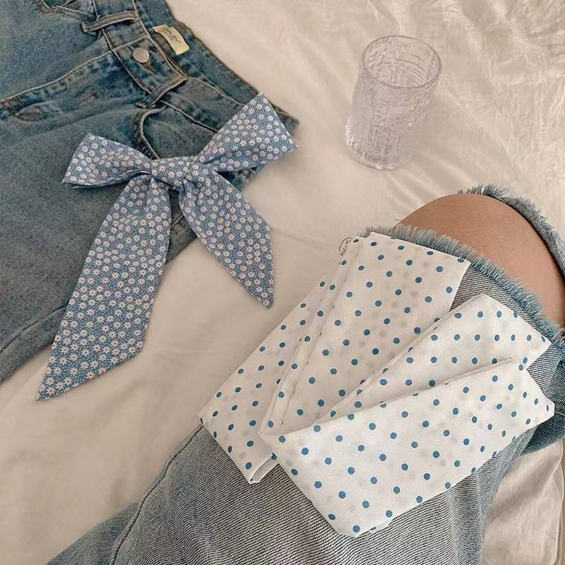 New Spring Blue‑Tone Twilly Sc - Travel Accessories Aesthetic recension och pris